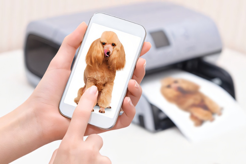 چطور عکسهای گرفتهشده با گوشی را برای چاپ بهینهسازی کنیم؟