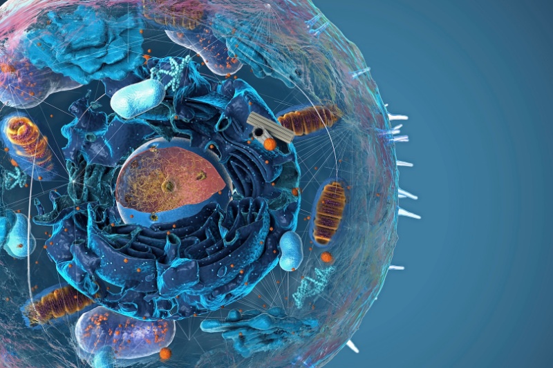 اندامکهای سرکش درون سلولها میتوانند کلید کشف منشاء حیات باشند