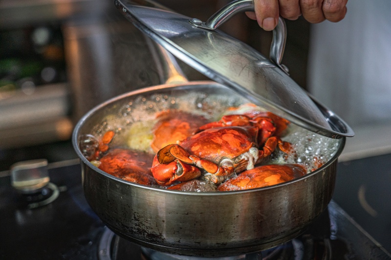 دانشمندان میگویند خرچنگها واقعاً میتوانند درد را احساس کنند