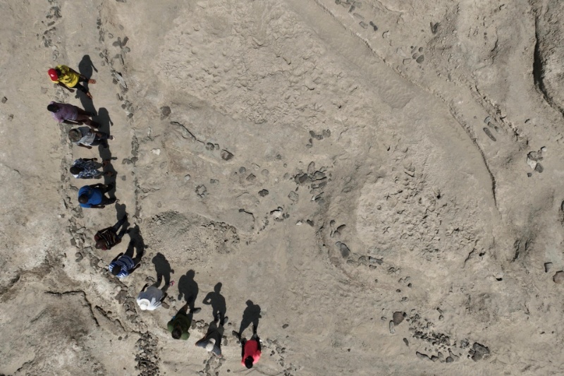 ردپاهای ۱٫۵ میلیون ساله در کنیا از همزیستی انسانتباران باستانی خبر میدهند