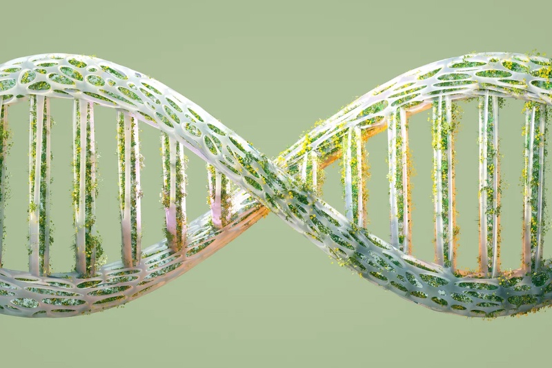 هشدار دانشمندان: خلق «حیات آینهای» میتواند فاجعهبار باشد