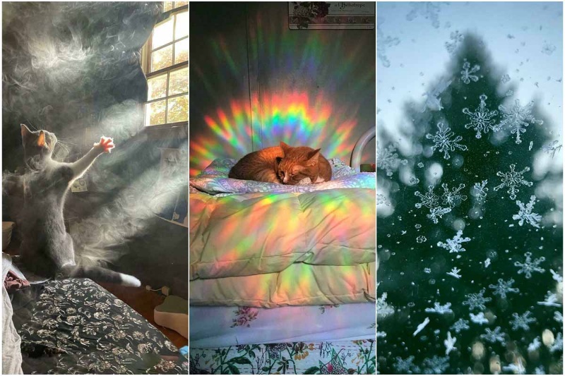 هنر تصادفی؛ تصاویر تصادفی که بهطرز عجیبی سورئال بهنظر میرسند