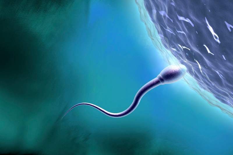 اسپرم پدران حامل آثاری از استرس دوران کودکی آنها است