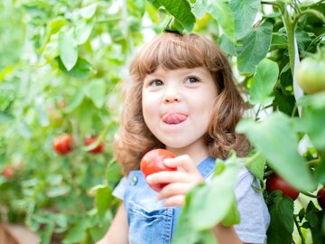 اگر گوجهفرنگی سمی است، چرا انسان را نمیکشد؟