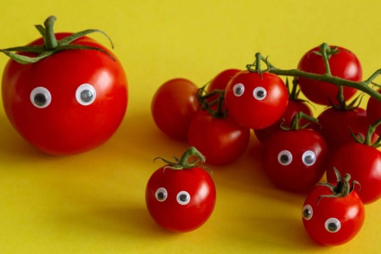 دانشمندان تازه متوجه شدند چرا گوجه فرنگی انسان را نمیکشد