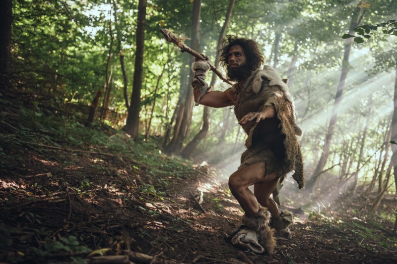 رمزگشایی از سلاحهای ۳۰۰ هزار ساله، تاریخ شکار از راه دور را بازنویسی میکند