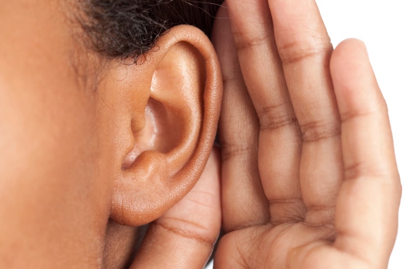 میراث بلااستفاده: آیا عضلات گوشهایمان هنوز کاربردی هستند؟