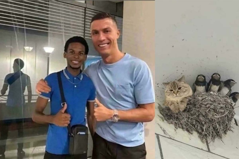 وقتی مردم عجیبترین تصاویری را که در اینترنت دیدهاند، به اشتراک میگذارند