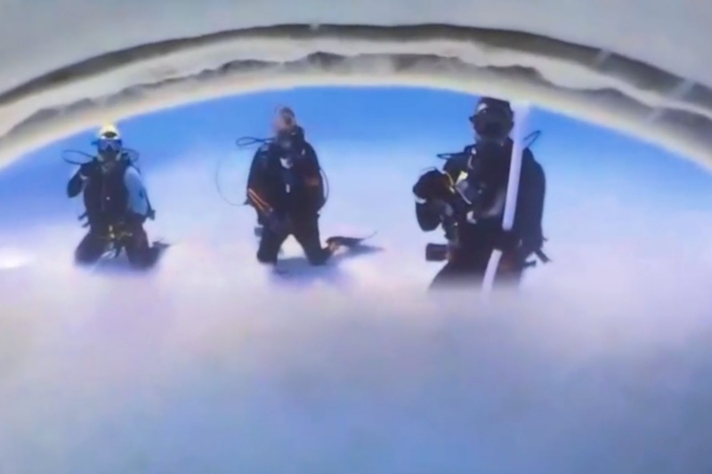 وقتی کوسه فیلمبردار شد: دنیا از درون دهان شکارچیان دریا چگونه است؟