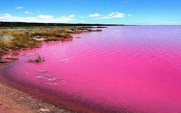 چرا رنگ آب در مکانهای گوناگون متفاوت است؟