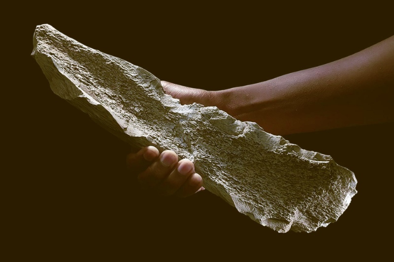 بازنگری در تاریخ ابزارسازی؛ قدمت ابزارهای استخوانی به ۱٫۵ میلیون سال پیش بازمیگردد