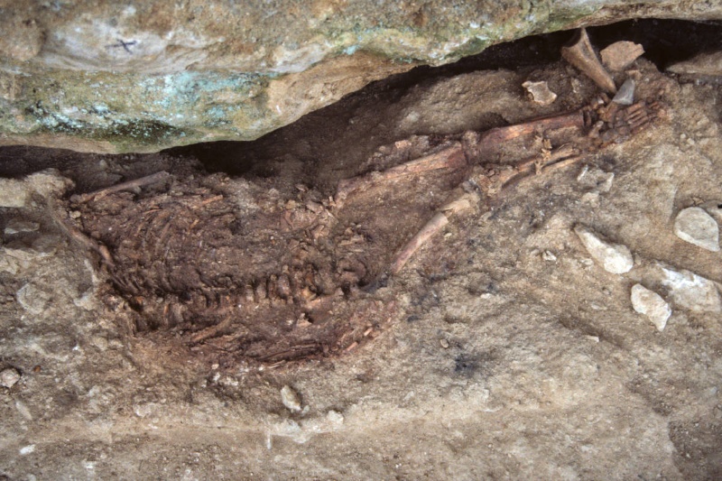 معمای کودک لاپدو؛ شواهدی تازه از پیوند انسان و نئاندرتال‌ها