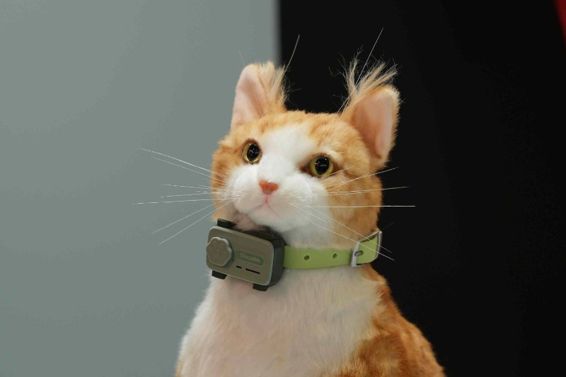 پِتفون رونمایی شد؛ اولین گوشی هوشمند مخصوص حیوانات خانگی