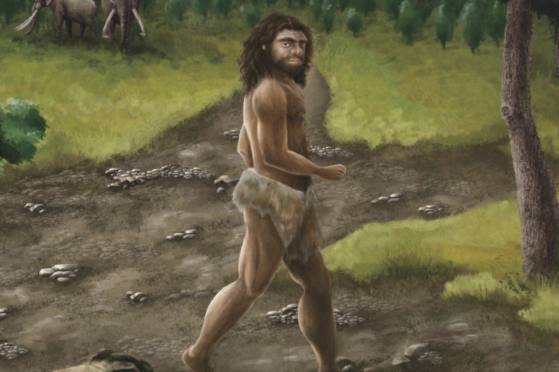 از سیبری تا تایوان؛ کشف هویت فسیلی مرموز، قلمرو زندگی انسانتبار دنیسووا را گسترش میدهد