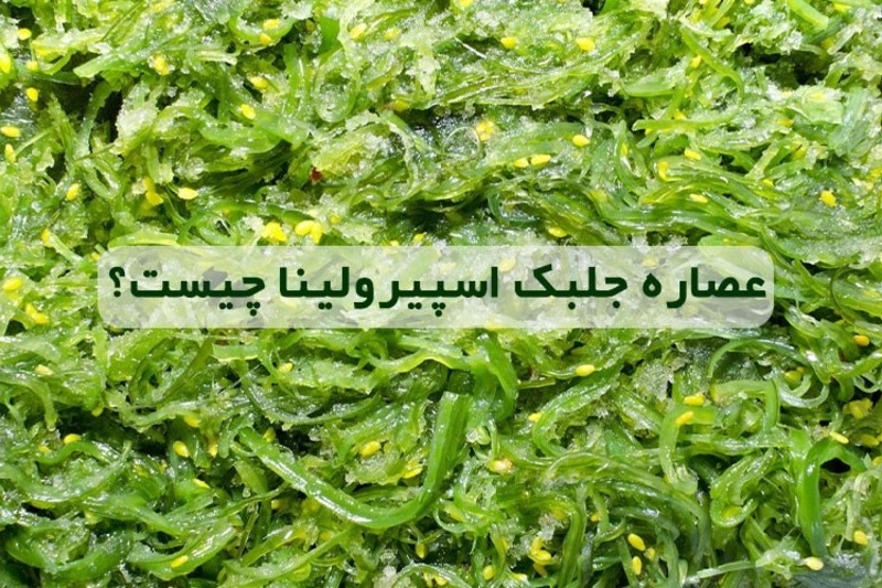 ایران کلروفیل از فواید جلبک اسپیرولینا می‌گوید