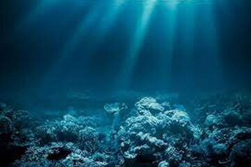 موجودی که خفته بود بعد از قرن‌ها دوباره زنده شد