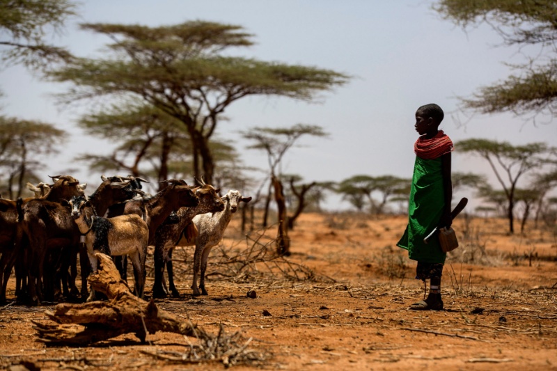 هشدار دانشمندان: افزایش دمای زمین ما را فقیرتر می‌کند