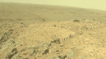 کشف موجود زنده‌ای که می‌تواند در مریخ زندگی کند