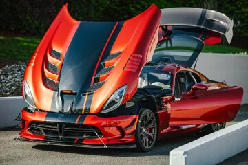 آخرین فرصت برای خرید افعی آمریکایی /عکس