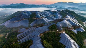 حماسه‌ای دیگر از چین/ کشتزار میان نیروگاه یا نیروگاه میان کشتزار؟