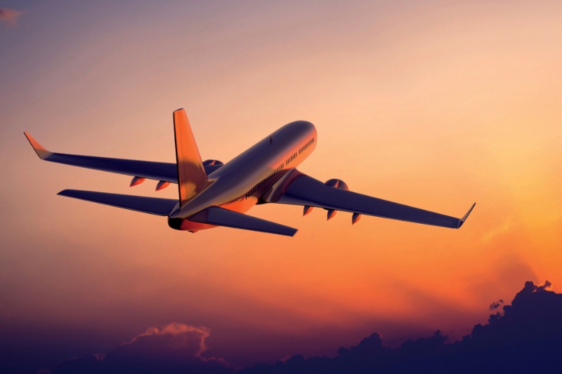 آشوب در آسمان؛ مسافر خشمگین سعی کرد از هواپیمای در حال پرواز پیاده شود!