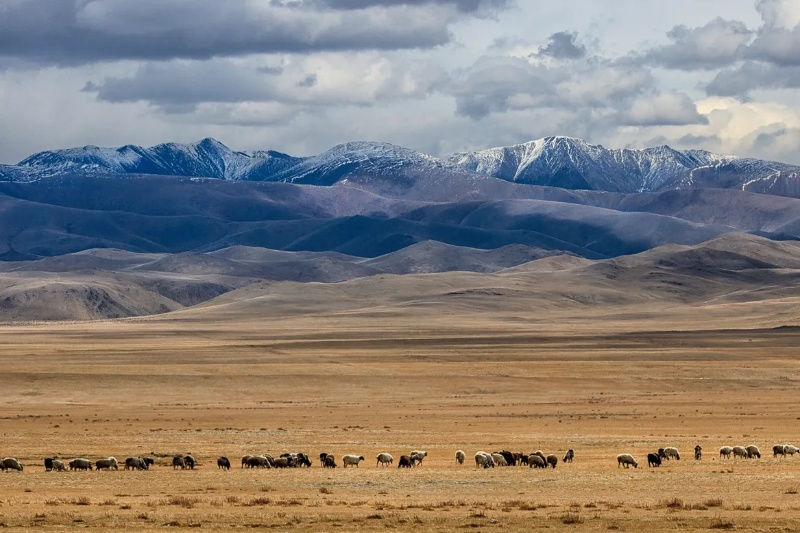 دیگر دیوار بزرگ آسیا؛ کشف بقایای سازهای قرون وسطایی در قلب مغولستان