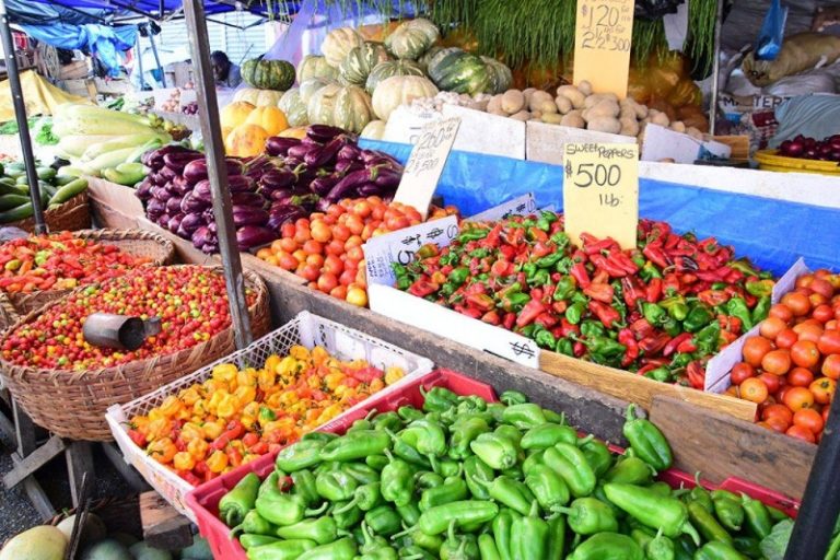 فقط یک کشور در دنیا غذای کافی برای تامین نیازهای خود را تولید می‌کند