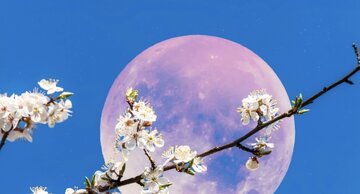«ماه توت‌فرنگی» چیست؟ / حقایقی درباره ماه کامل ۲۰ و ۲۱ خرداد