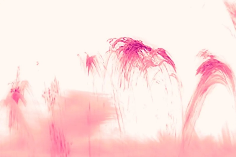 نمای بیسابقه از تاج خورشید: مشاهده پدیده عجیب بارانهای پلاسما با وضوح حیرتانگیز