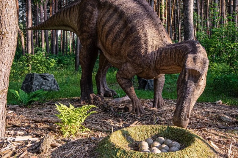 چالش حل‌نشده در دیرینه‌شناسی: چرا تشخیص جنسیت دایناسورها بسیار دشوار است؟