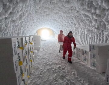 افشای راز ۱.۵ میلیون ساله قدیمی‌ترین یخ زمین