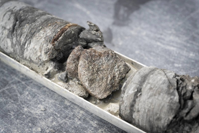 موزه مشهور دایناسورها در آمریکا، زیر پارکینگ خودش فسیل دایناسور پیدا کرد