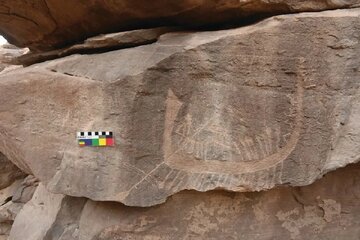 کشفی نادر در مصر / تصویری از اولین فرعون