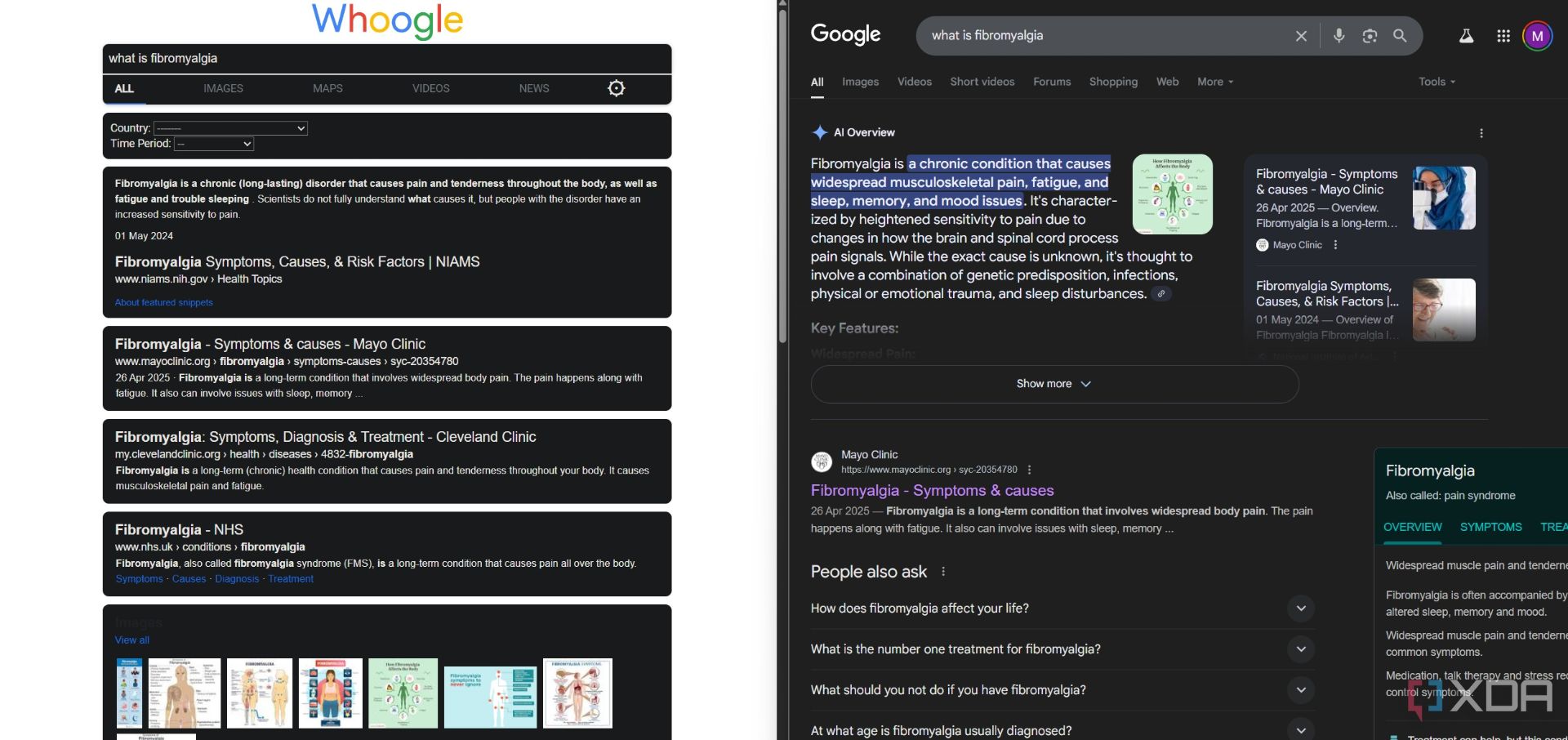 مقایسه‌ی موتور جست‌وجوی گوگل و هوگل