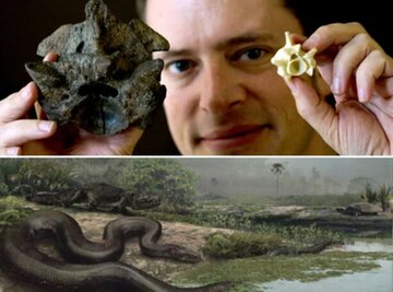 بیرون کشیدن مار ۹۰۰ کیلویی از معدن زغال‌سنگ / عکس