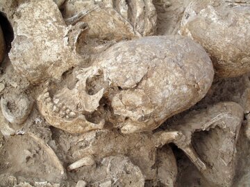 رازهای جمجمه دختری که 6200سال قبل در جنوب ایران با ضربه به سرش کشته شد