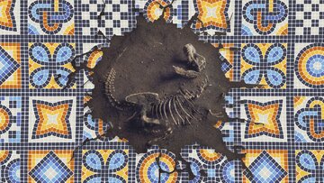 کشف جمجمه موجودی تک چشم/ مردم باستان با این موجودات چه کاری کردند؟