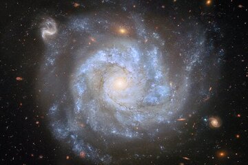 ادعای جدید یک دانشمند: «حیات روی کره زمین نه اتفاقی بلکه مهندسی‌شده است!»