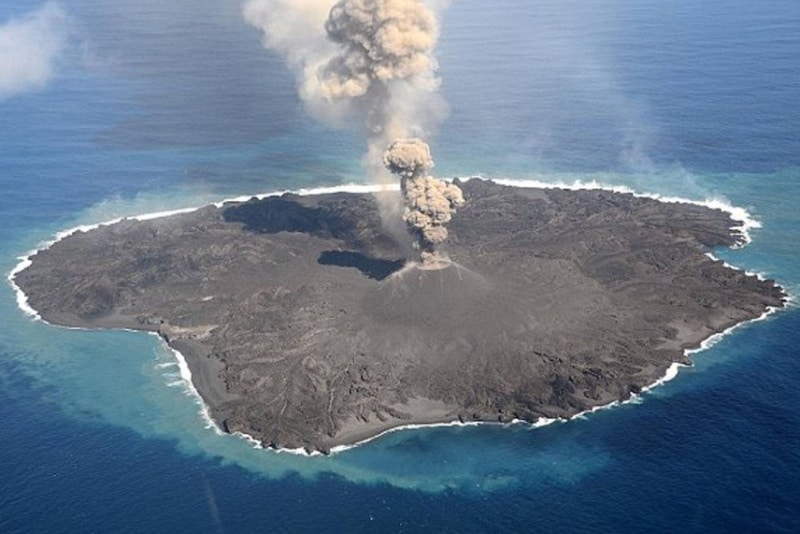تکامل در دل خاکسترهای آتشفشان: چگونه گیاهان به جزیره‌ای سوخته در ژاپن بازگشتند؟
