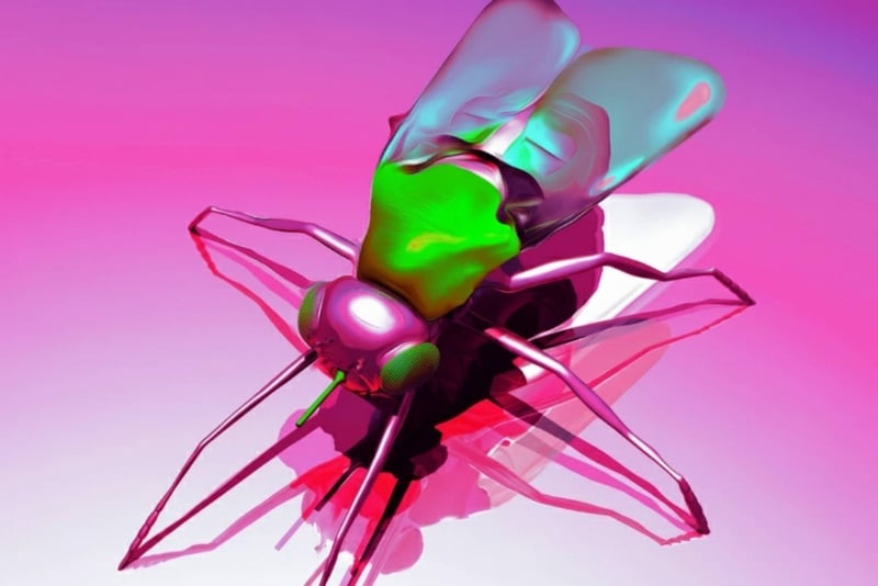 جنگ میکروسکوپی؛ دارپا بهطور جدی مشغول کار روی رباتهای جاسوس حشرهنما است