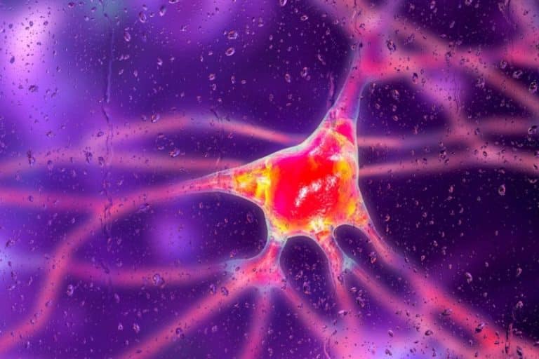 دانشمندان برای نخستینبار پیشرفت بیماری هانتینگتون را تا حد چشمگیر کاهش دادند