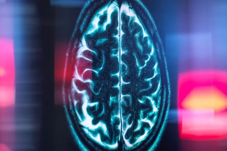 دانشمندان «مسافت‌سنج درون مغز» را شناسایی کردند