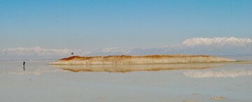 راز جزایر زنده‌ای که به یکباره در دریاچه نمک یوتا ظاهر می‌شوند