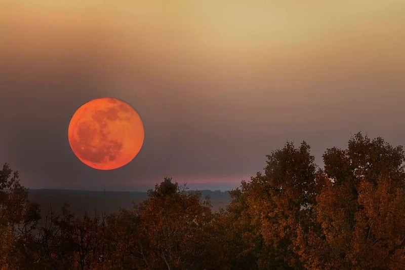 سنگهای ماه درحال زنگزدن هستند و زمین عامل آن است