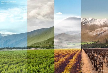 شاید چند متر آن‌ طرف‌تر فصل دیگری باشد!