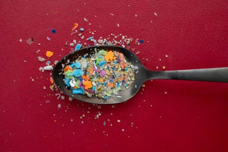 میکروپلاستیکها حتی به استخوانهای ما هم نفود کردهاند