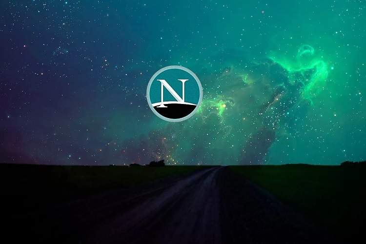 نت‌اسکیپ و آغاز تاریخچه باگ بانتی در سال ۱۹۹۵