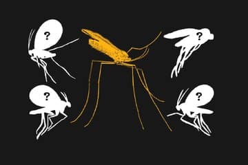 همسایه‌هایی که در سایه و در کنار ما می‌زیستند!