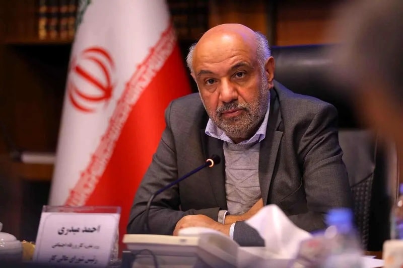 وزیر تعاون: بیمه رانندگان تاکسی‌های اینترنتی به مجلس رسید