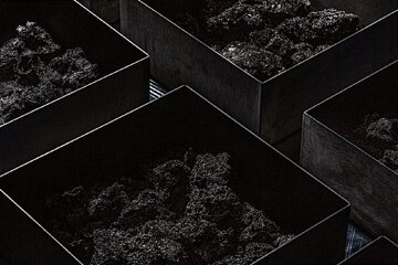 پشت پرده باریک‌ترین آیفون تاریخ: باتری جدید اپل چیست؟